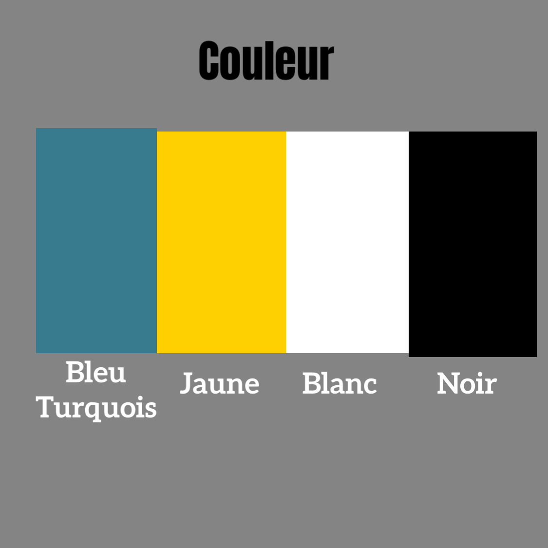 Informatique - Support 1